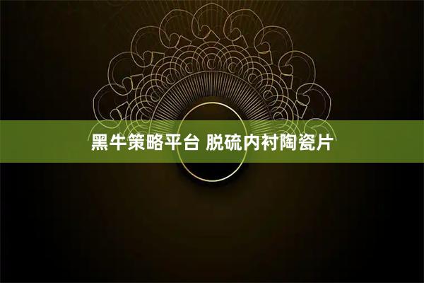 黑牛策略平台 脱硫内衬陶瓷片