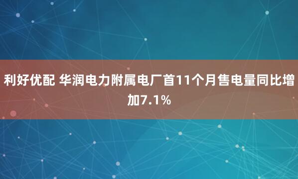 利好优配 华润电力附属电厂首11个月售电量同比增加7.1%