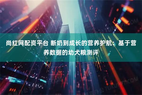 尚红网配资平台 断奶到成长的营养护航：基于营养数据的幼犬粮测评