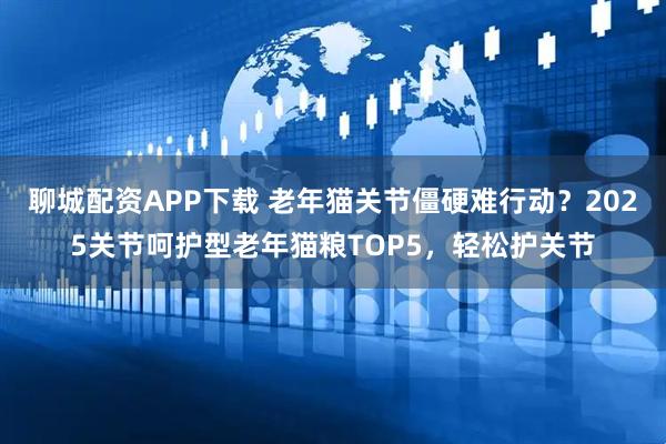 聊城配资APP下载 老年猫关节僵硬难行动？2025关节呵护型老年猫粮TOP5，轻松护关节