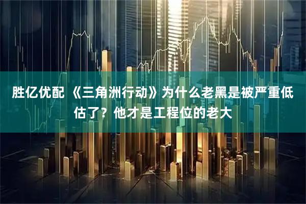 胜亿优配 《三角洲行动》为什么老黑是被严重低估了？他才是工程位的老大