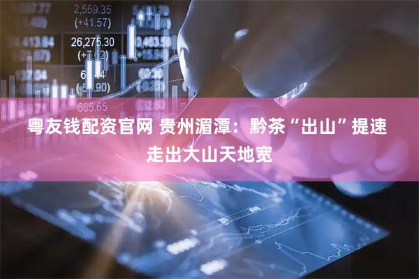 粤友钱配资官网 贵州湄潭：黔茶“出山”提速 走出大山天地宽
